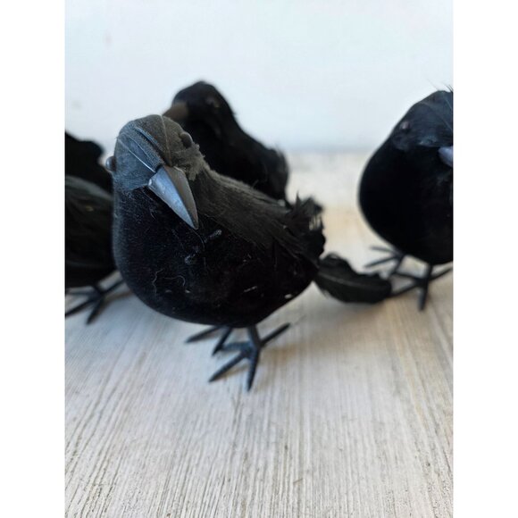 Greenbrier graveyard Crow Bird Halloween realistic prop feather decor - Picture 2 of 11